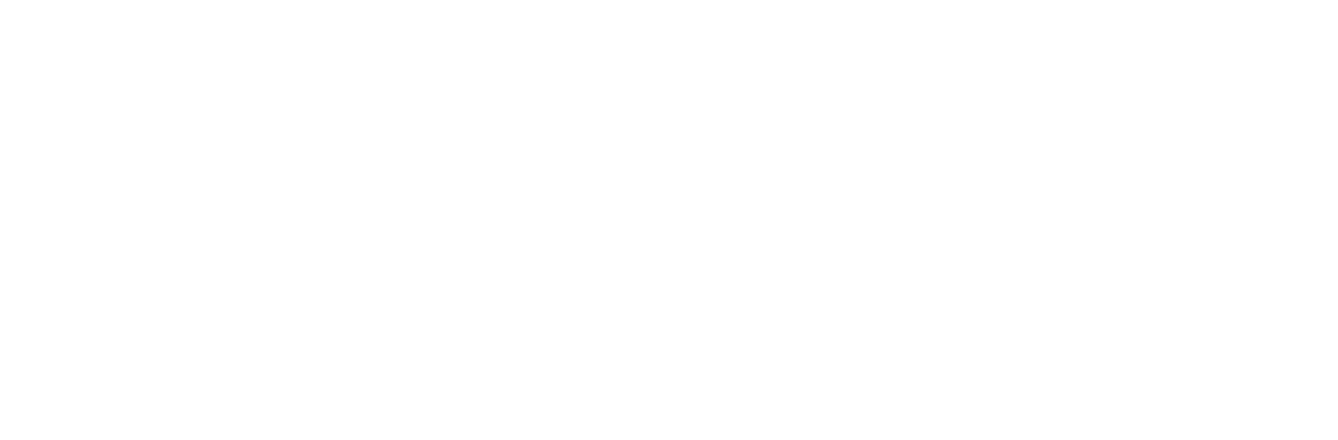 Triangle Mind Technologies Logo